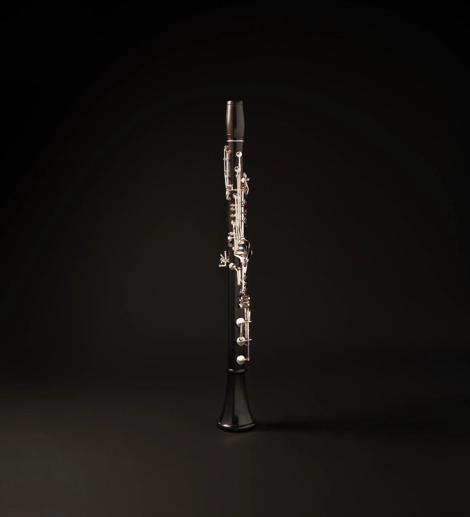 Firebird Custom Bb Clarinet FB1633 - Image 4